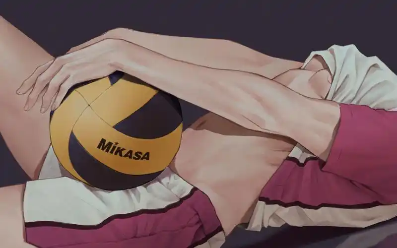 20201021小排球同人牛岛若利牛若