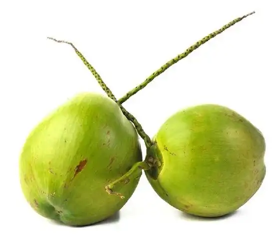 7个带皮海南椰青 海南老椰子青椰海南新鲜椰子孕妇水