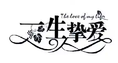 em>一生 /em> em>挚爱 /em>the em>love /em>of em>my /em> em>life