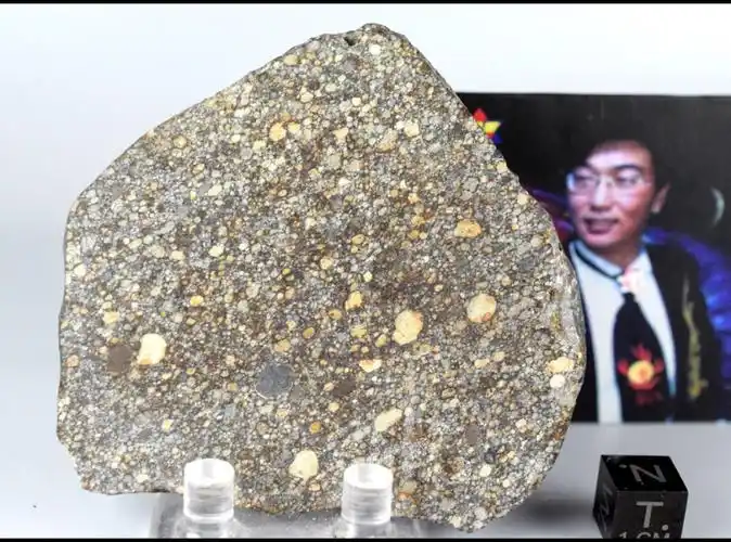 完整 完美 大切片 65.32克 nwa 5477大美l3.2球粒石陨石 长宽约74mm