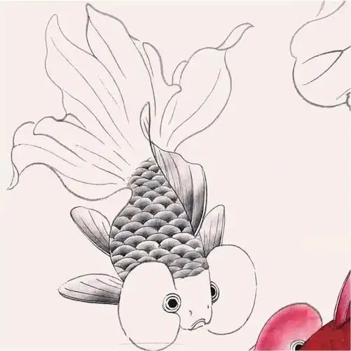 工笔金鱼画法步骤_国画教程大全_零二七艺考