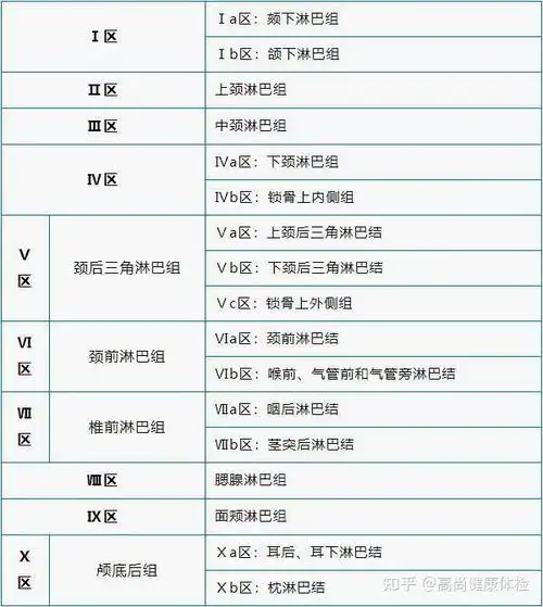 颈部淋巴结分区——十分区(2013年由欧洲放射肿瘤学协会发表):全身约