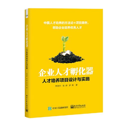 企业人才孵化器:人才培养项目设计与实施