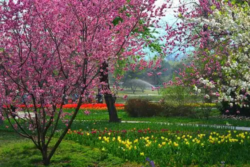 春天,植物园风景如画