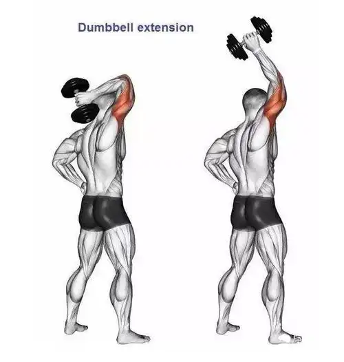 ▼  曲杆颈后臂屈伸