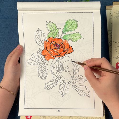 儿童中国画白描入门临摹画册小学生线描底稿手绘描幕本绘画涂色本