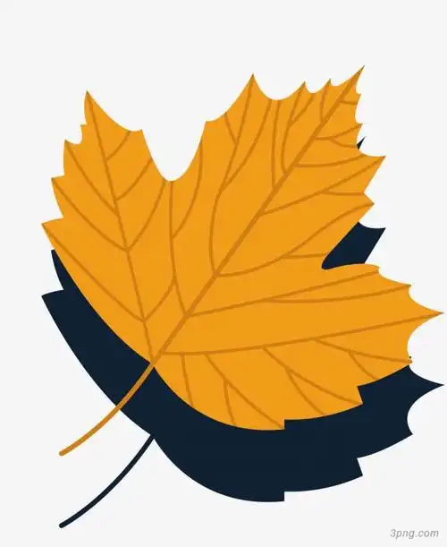 黄色枫叶设计矢量png素材透明免抠图片-装饰效果-三元素3png.com