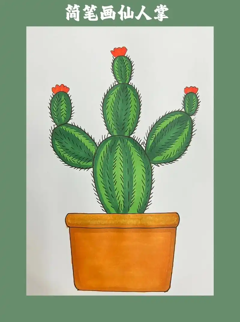 简笔画仙人掌.#简笔画 #一起学画画 #每日一画 #画画打卡 - 抖音