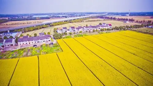 打造理想中的乡间田园泖港镇吾舍田园综合体启动建设