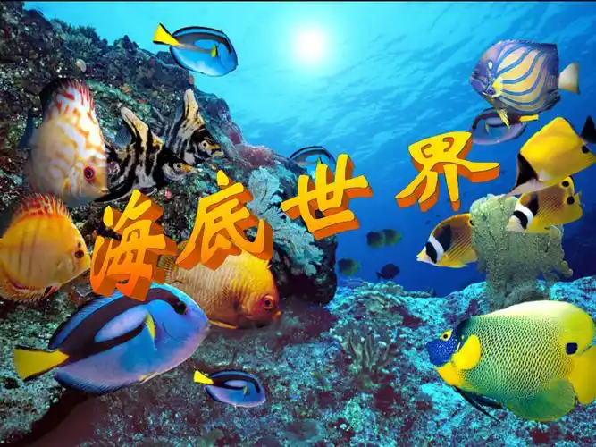 苏教版三年级下册语文海底世界课件ppt