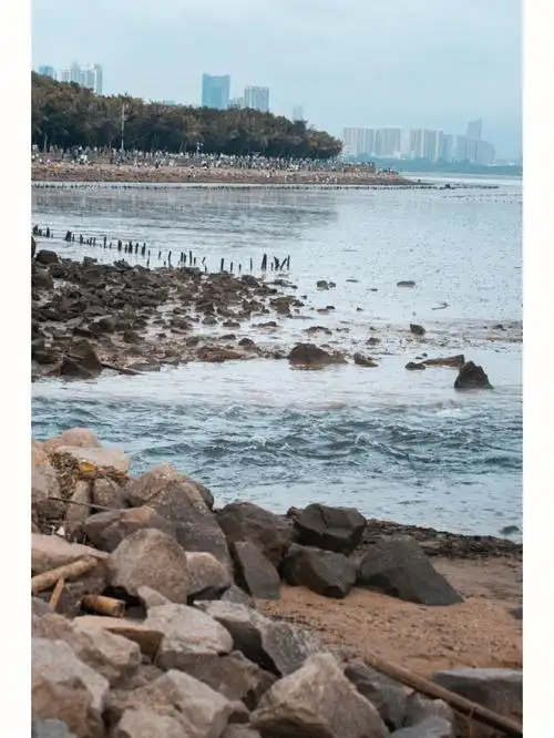 城市剪影深圳湾公园