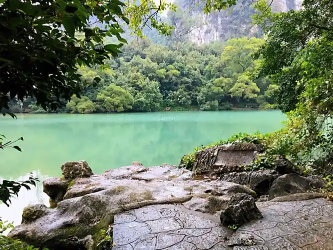 候鸟飞桂南(三)柳州大龙潭公园