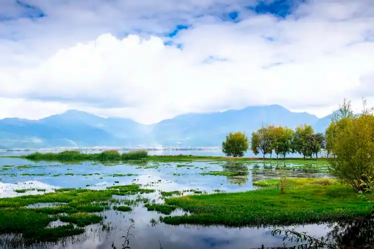 行摄丽江----拉市海掠影
