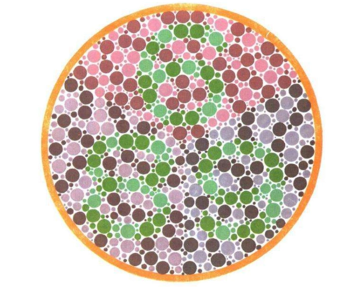 驾照体检色盲测试图,看到最后一张,网友:我真的不是色盲吗?