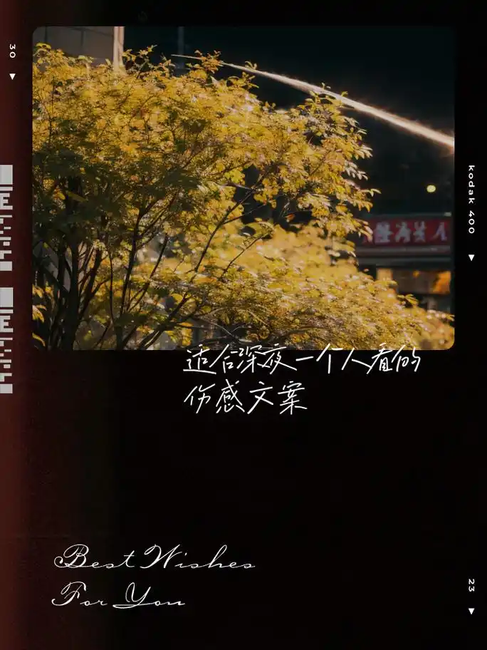 适合深夜一个人看的伤感文案