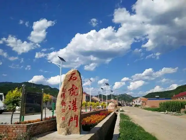 不忘初心,牢记使命,党建引领,乡村全面振兴