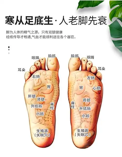 足部艾灸鞋艾灸盒随身灸家用足灸脚底熏蒸仪器无烟纯铜脚部涌泉穴绿色