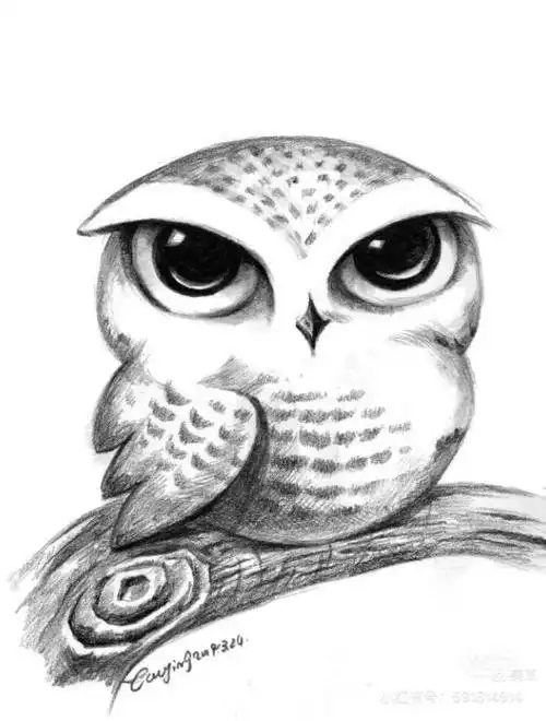 趣味素描,动物,第七课,毛发处理