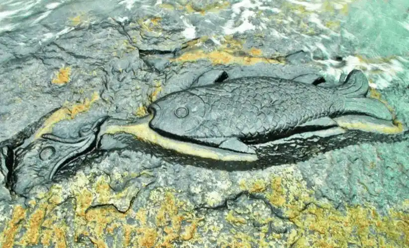 石鱼出水以兆丰年白鹤梁神女皮肤初体验北北皮肤中的天花板