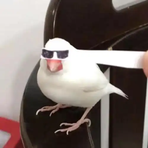 诶嘿谢谢夸奖 因为我是沙雕复读鸽x