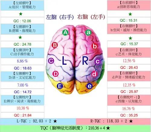 1/ 12 天赋云大脑tqc测评系统 天赋云大脑tqc测评系统 天赋云大脑tqc