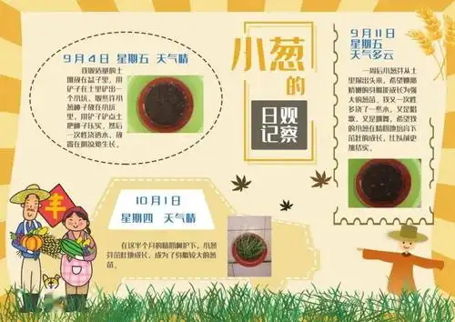 坚持给葱种浇水,同时也随时观察记录着小葱的生长过程