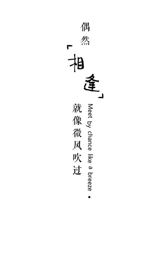 相逢何必曾相识文字壁纸简约