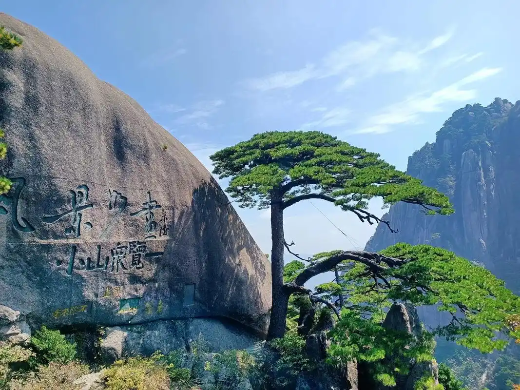 黄山四绝有:奇松,怪石,云海,温泉.其中,仅松树就 - 抖音