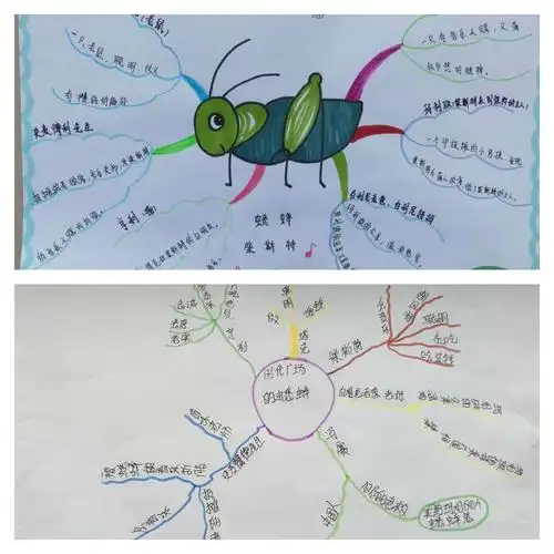《时代广场的蟋蟀》读书分享