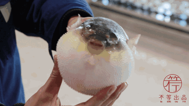 640_360gif 动态图 动图