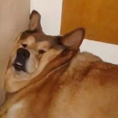 2021最火爆微信沙雕cp爱人头像