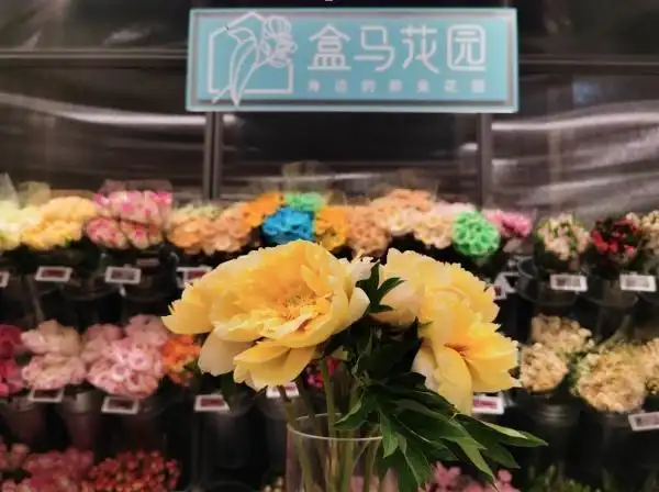 x会员权益升级 盒马:今年在3r,鲜花领域加大投资