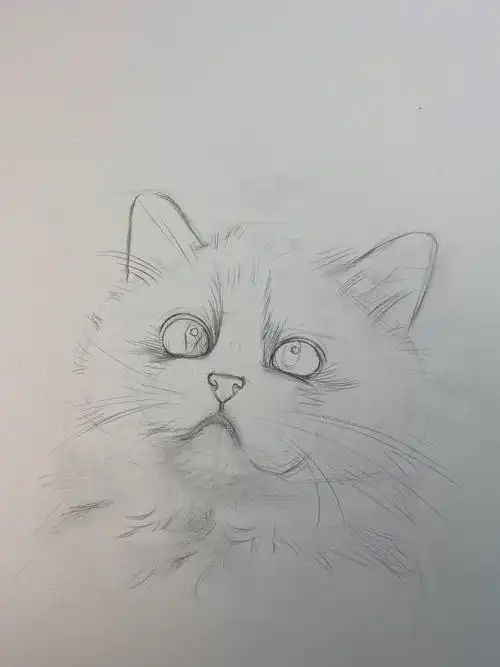 彩铅布偶猫带步骤