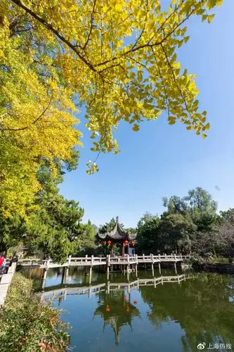 历经500年风雨,上海这座饱经沧桑的古典园林即将开始修缮