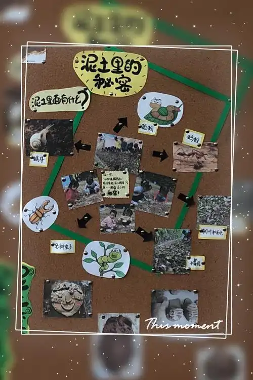 原来泥土里有那么多的秘密呢!