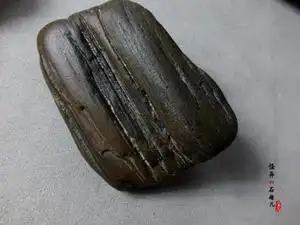 5厘米水冲木化石深硅化木