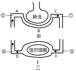 下图为人体内气体交换过程示意图请据图回答