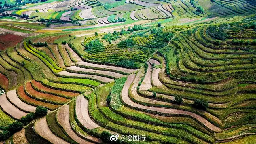 用航拍带你感受宁夏的梯田风光