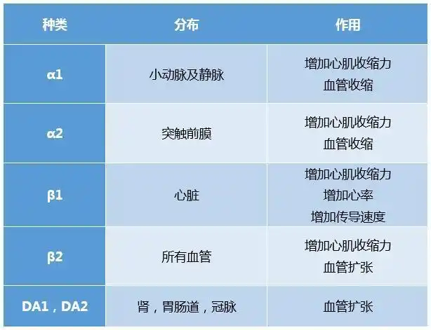 血管加压药物治疗休克10问10答,心内值班必备