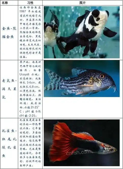 科学 生物学 鱼的种类介绍 (共1页,当前第1页) 你可能喜欢 常见鱼类