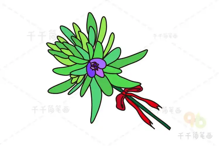 直立婆婆纳简笔画