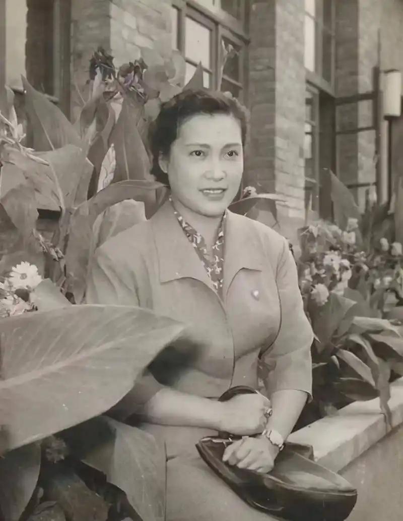 家暴;好不容易从陈天国手下逃出来,组建了温馨的新家庭,秦怡患上了直