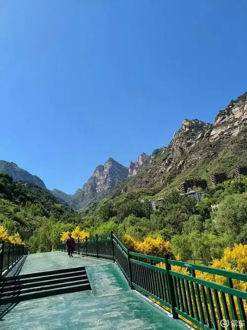 五一短途自驾游漫山花溪谷_朗逸社区_易车社区