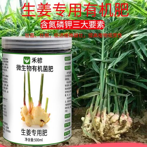 生姜肥料生姜专用肥姜类种植有机肥复合肥家用种菜缓释肥结果化肥