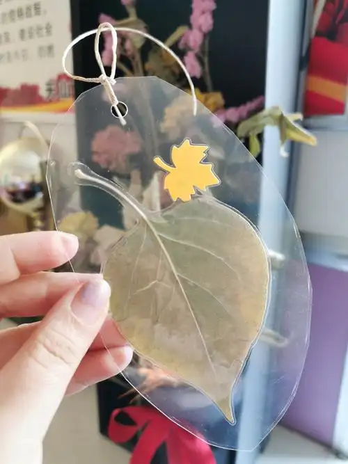 我的树叶书签 天山花园幼儿园彩虹班