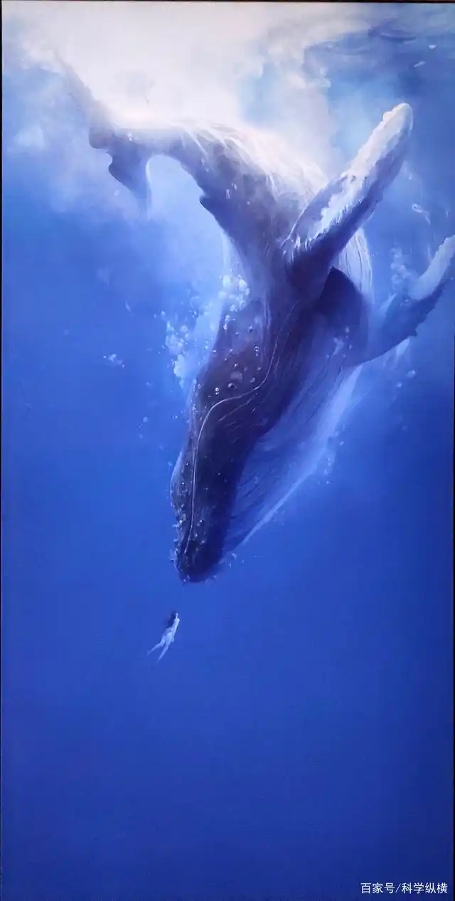 我国科学家南海首次发现鲸落,全球不到50个.一系列问题随之而来