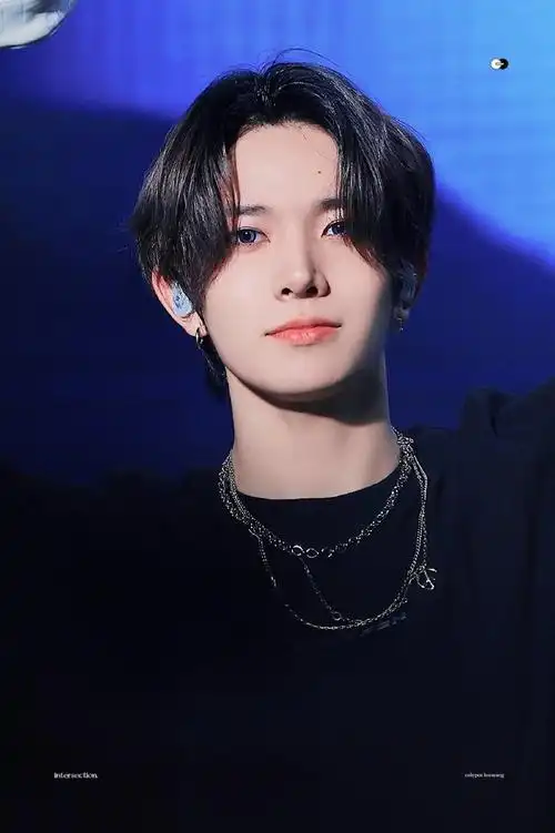 intersectionhs    93mini5汇总贴李羲承-heeseung小鹿园  94mini