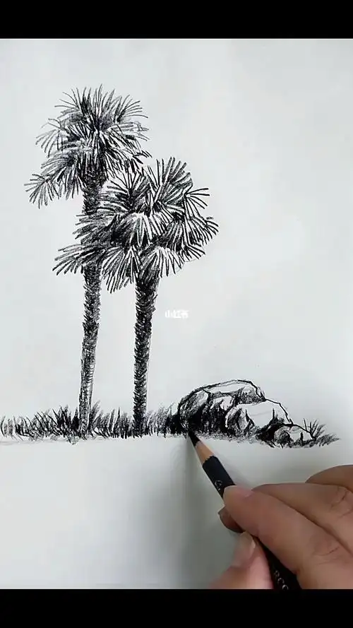 素描风景棕榈树的画法