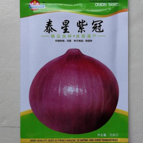 春秋泰星紫冠紫红皮洋葱种子优质高产抗病农家大棚大田春秋播种