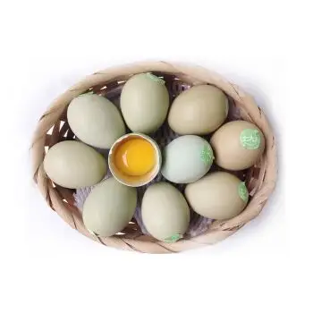 土大妈雉鸡野鸡七彩山鸡蛋
